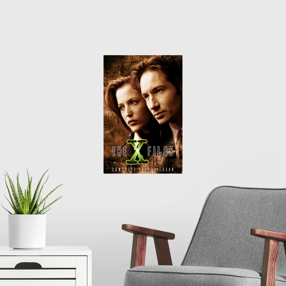 A modern room featuring X Files, The (TV) (1993)