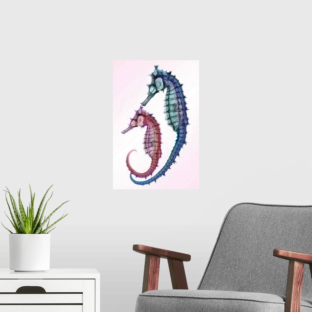 A modern room featuring Fine art photograph using an x-ray effect to capture an ethereal-like image of seahorses.