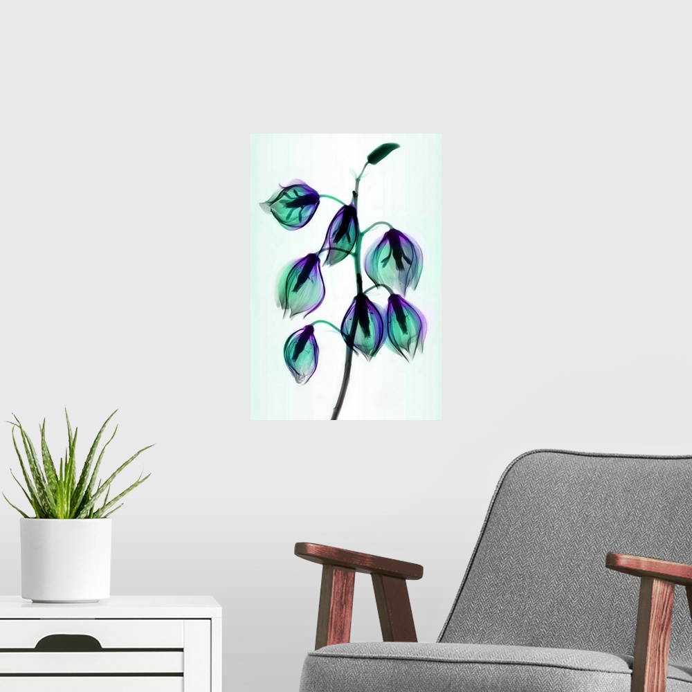 A modern room featuring Fine art photograph using an x-ray effect to capture an ethereal-like image of yucca flowers.