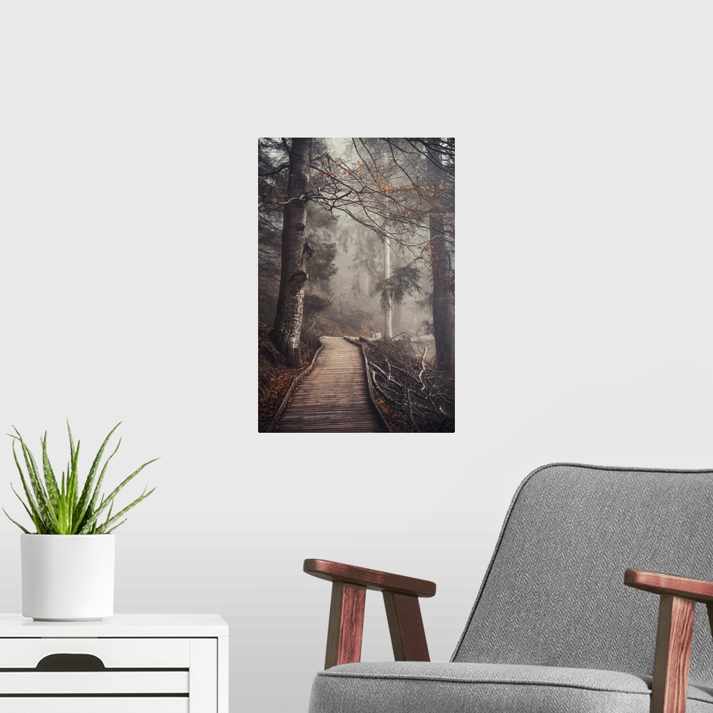A modern room featuring Foggy path in the forest