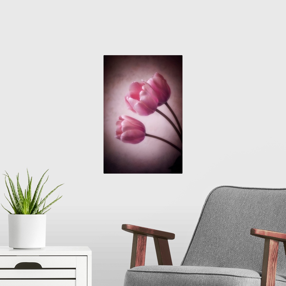 A modern room featuring Tulips with the addition of a photo texture