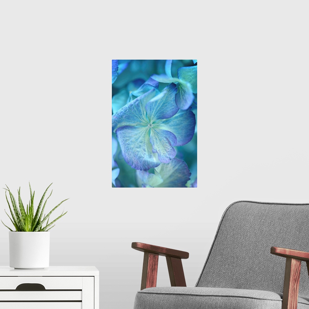 A modern room featuring Blue-dominant floral composition