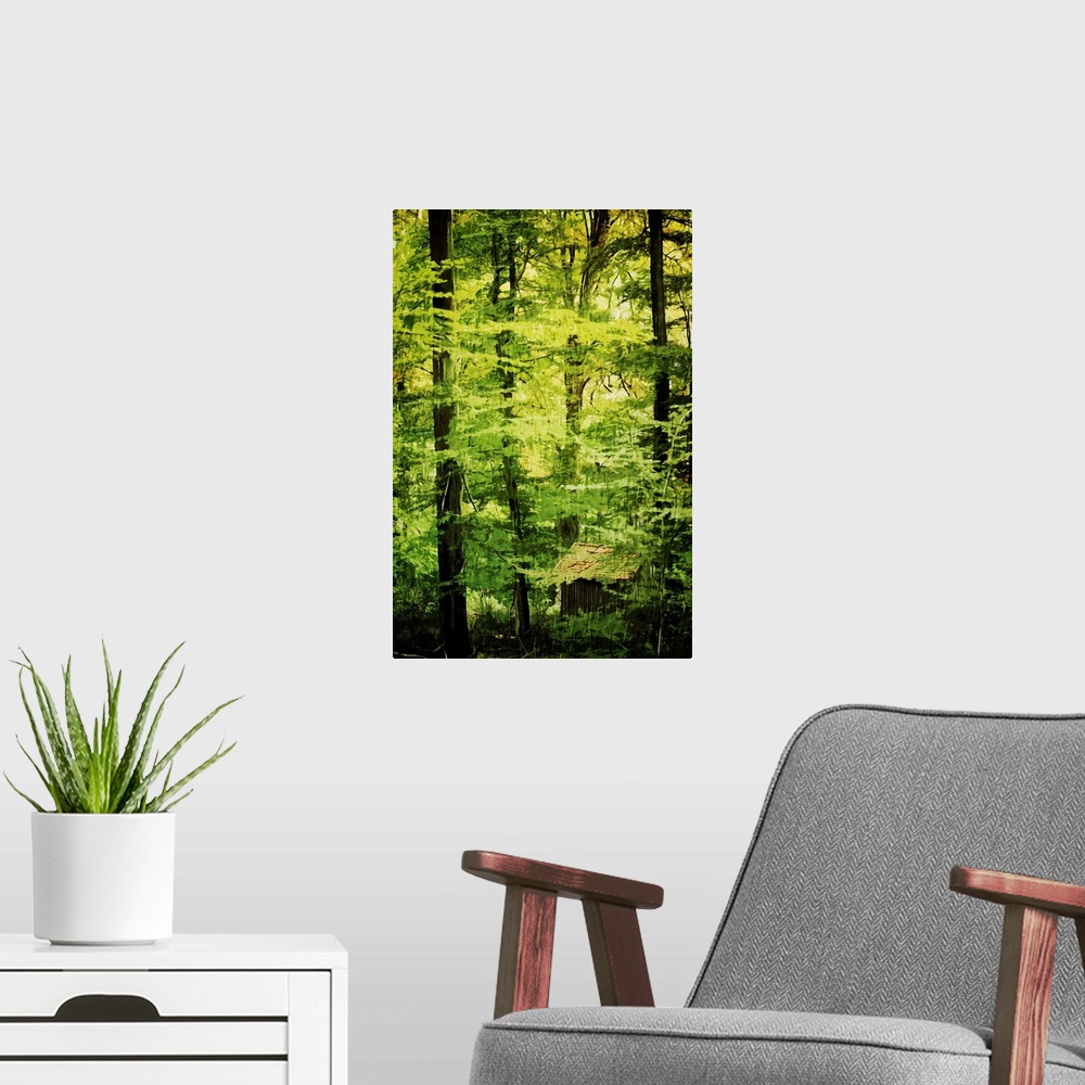 A modern room featuring Fine art photo of cabin hidden in the green foliage of a dense forest.