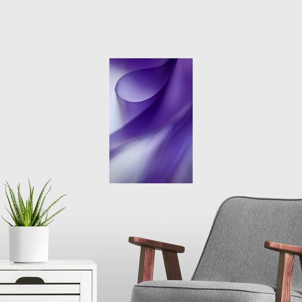 A modern room featuring Abstract photograph with ribbon-like curves of purple and white.