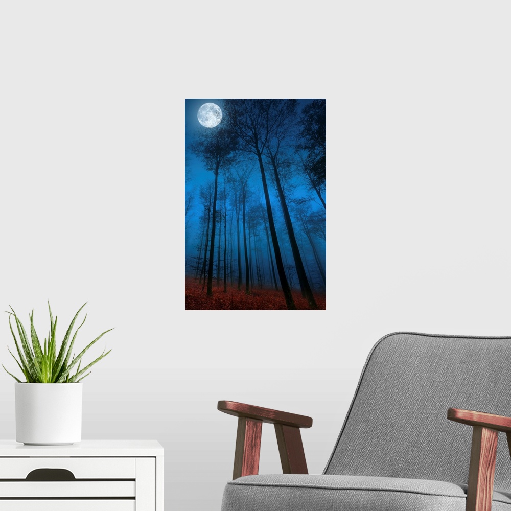 A modern room featuring Light from the full moon shining down on a forest of thin trees at night.
