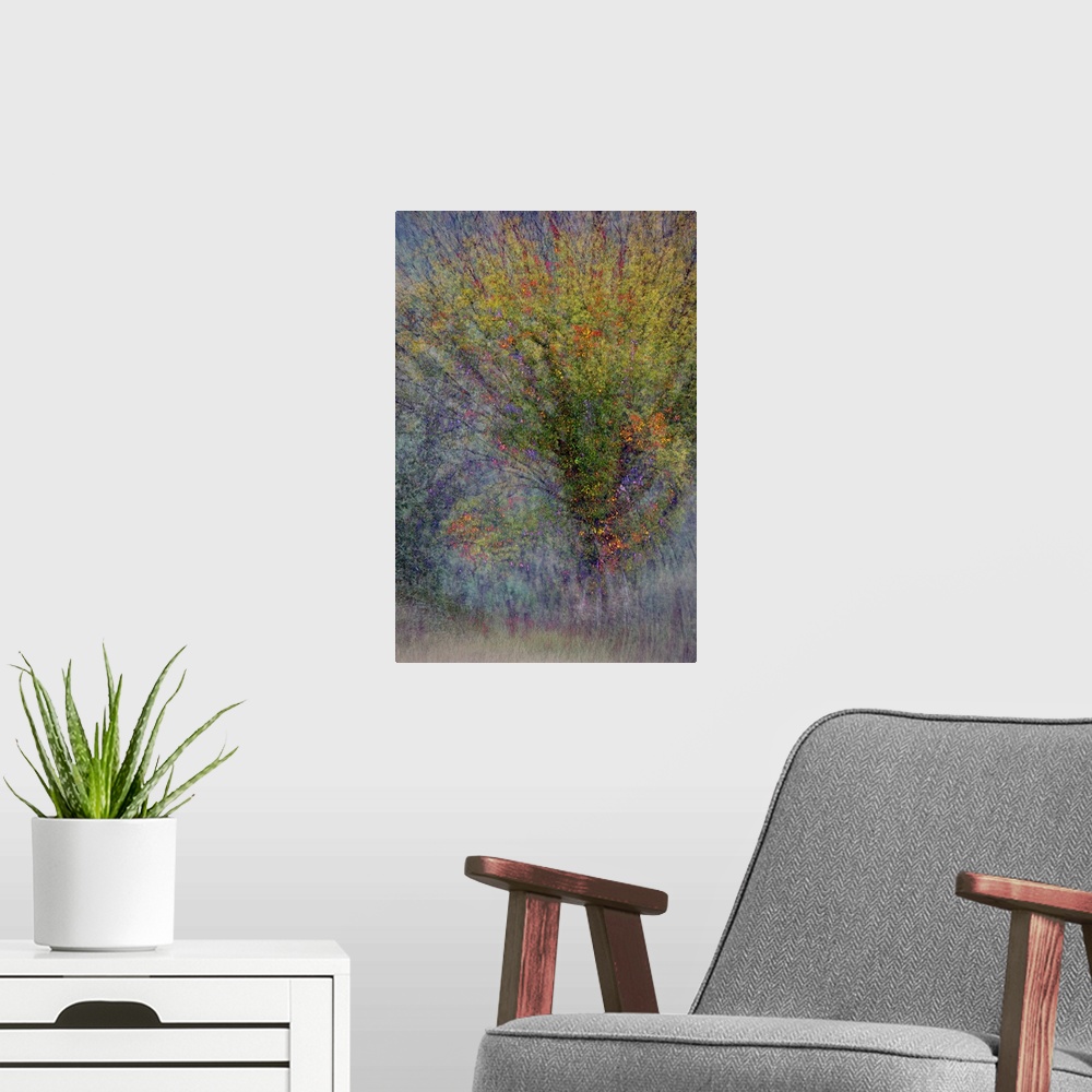 A modern room featuring An abstract photograph of a tree in autumn foliage.