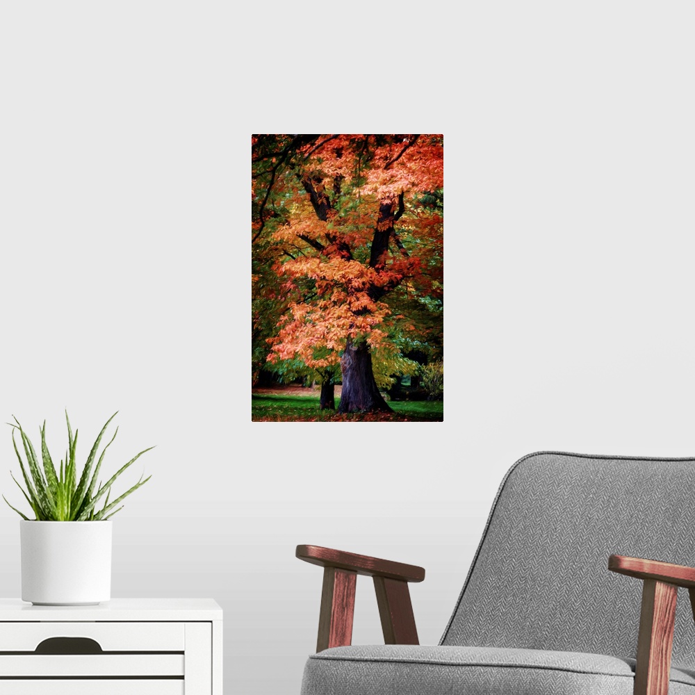 A modern room featuring Fine art photograph of a tall tree with brightly colored fall leaves.