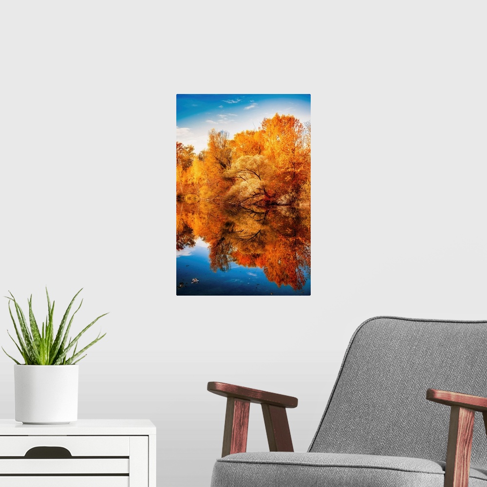 A modern room featuring Reflection of an autumn forest