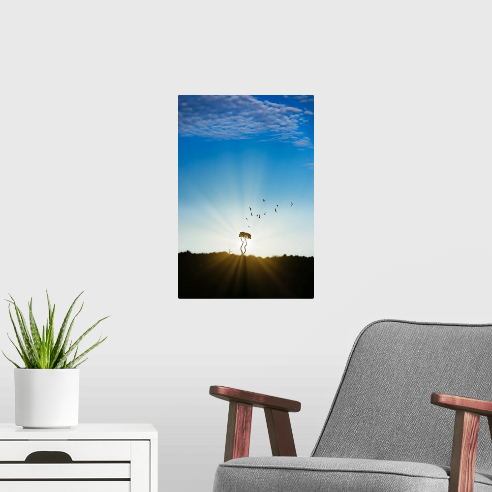 A modern room featuring The sun is rising behind a tree and birds