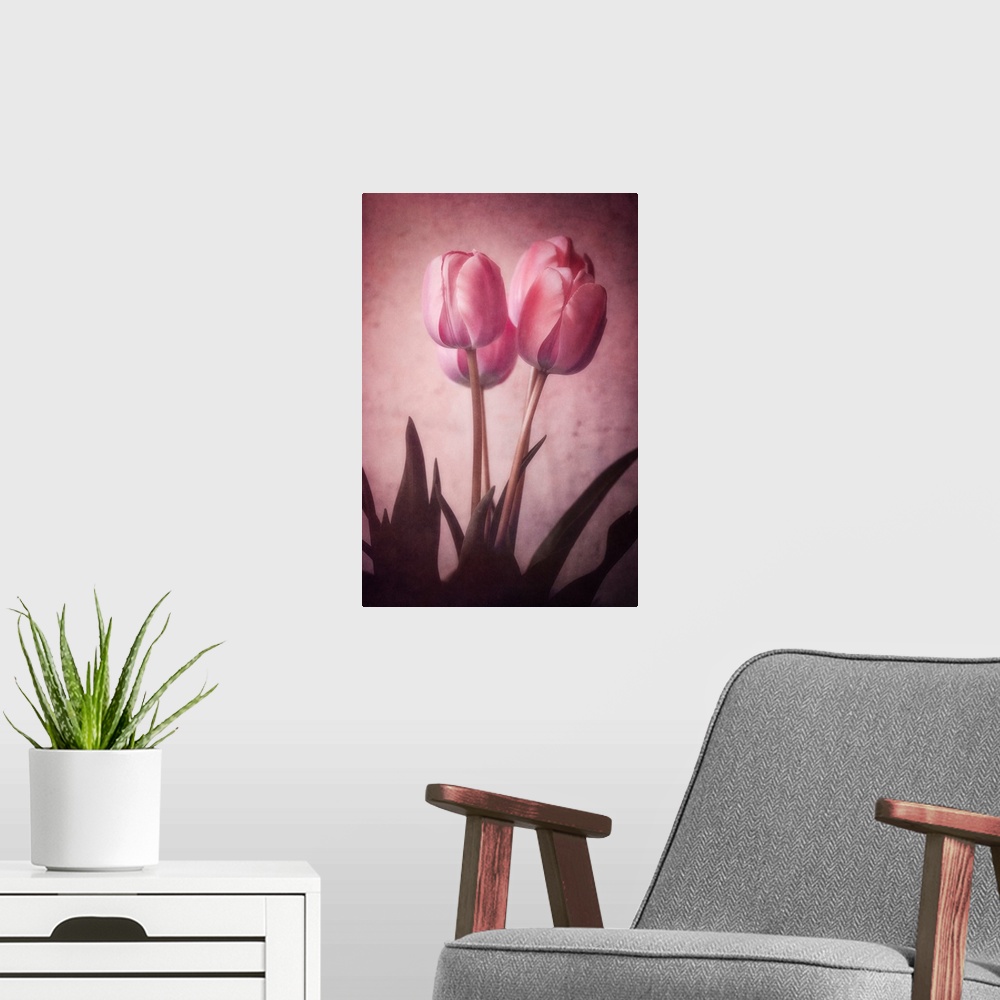 A modern room featuring Tulips close-up with a photo texture