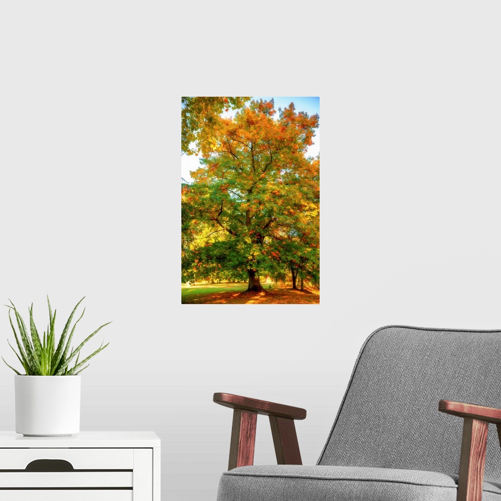 A modern room featuring Autumn foliage of an oak with a expressionist photo or painterly effect