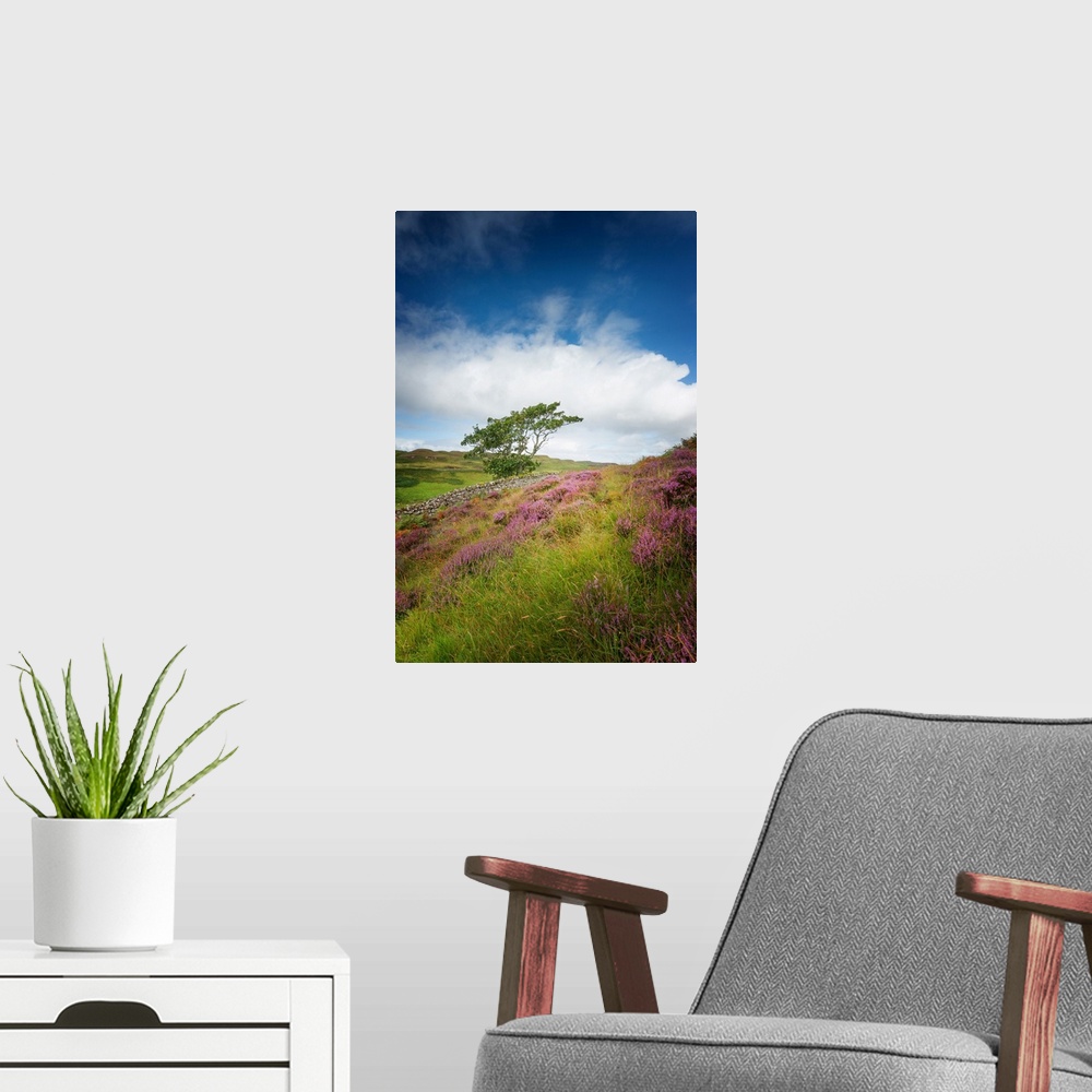 A modern room featuring Fine art photo of a tree at the edge of a field of wildflowers under a cloudy sky.