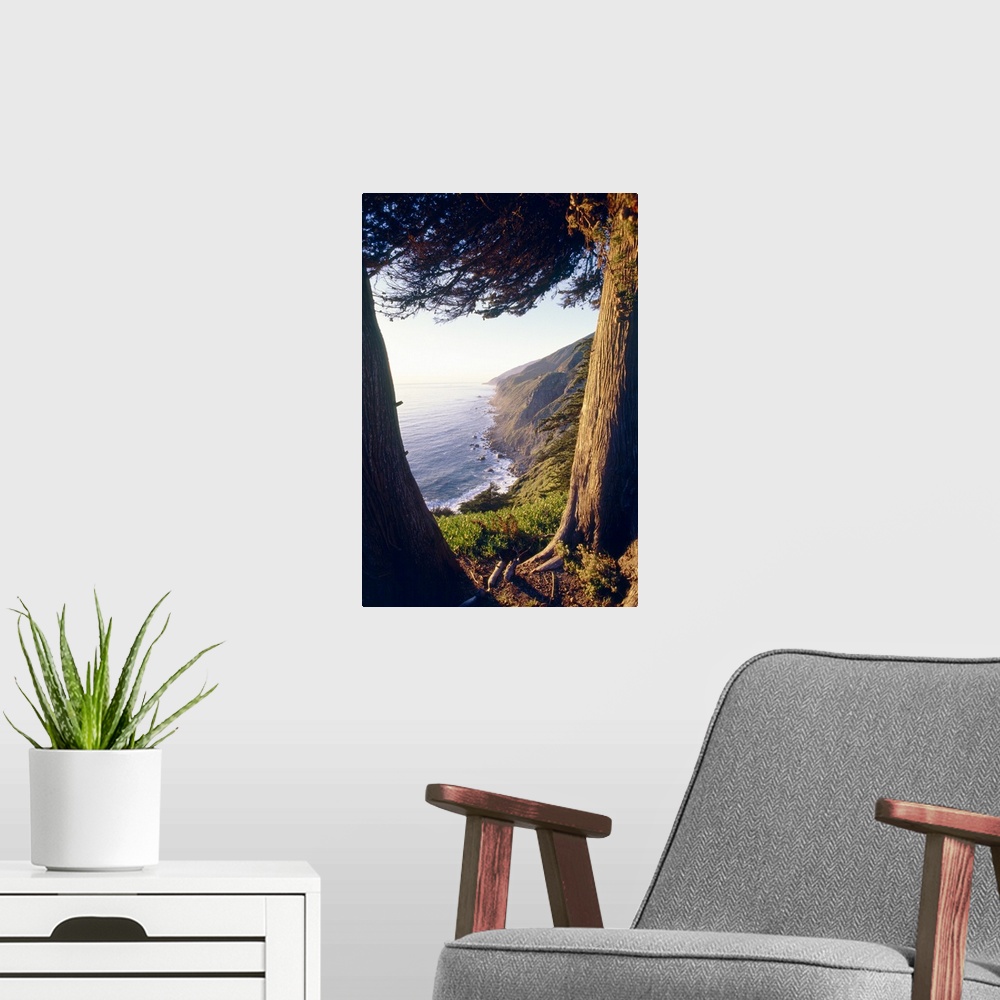 A modern room featuring Coastal View Between Trees, Ragged Point, Big Sur Coast, California