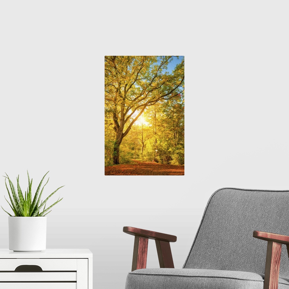 A modern room featuring Photo Expressionism - The sun passes through a forest in autumn.