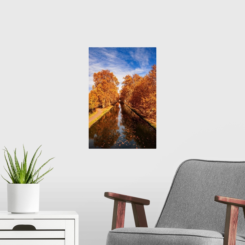 A modern room featuring Trees in the fall along a canal