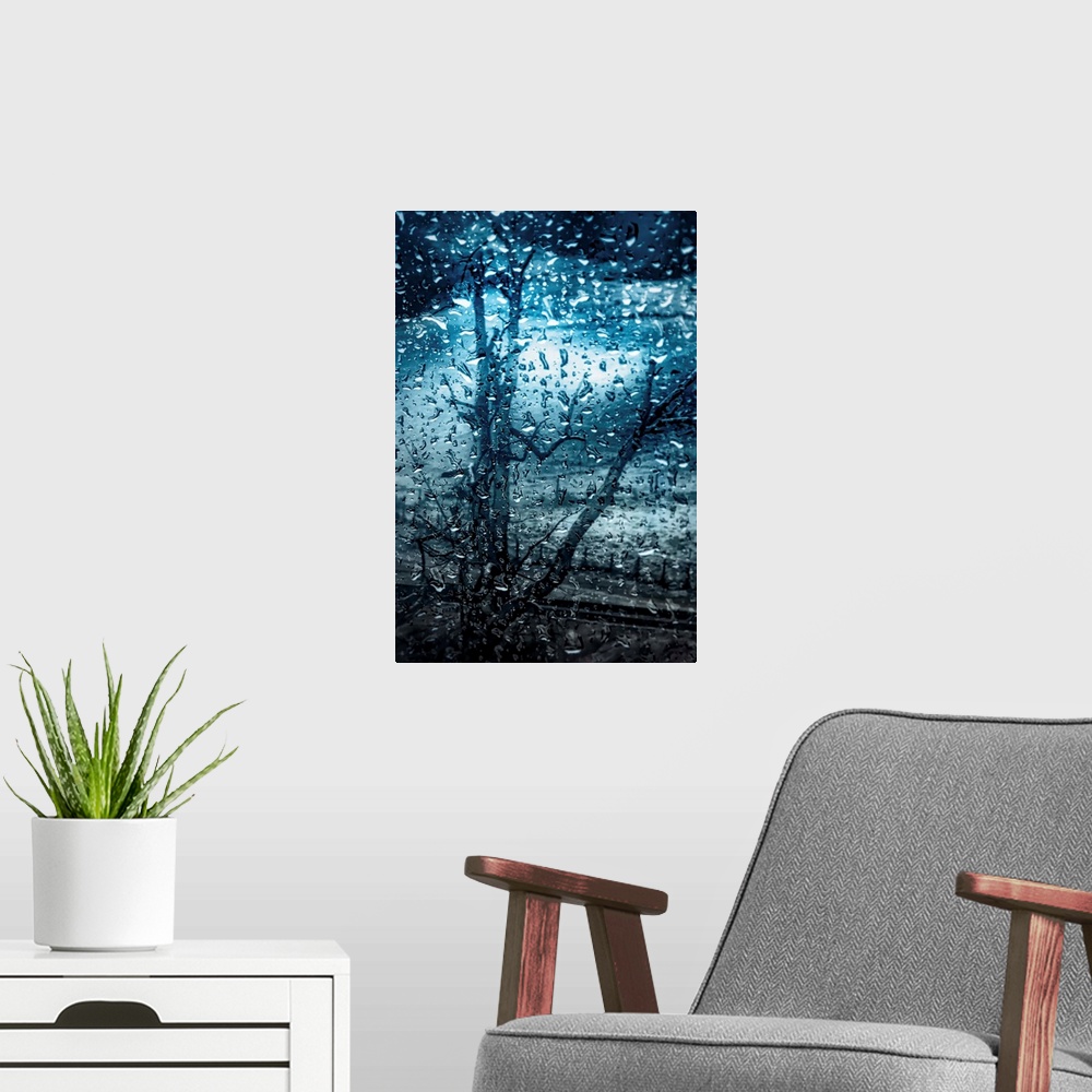 A modern room featuring Cool toned photograph of large rain droplets with a bare tree in the background.