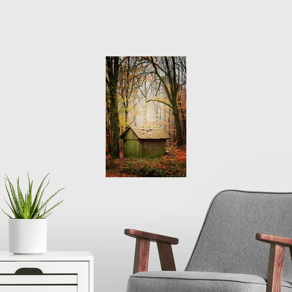 A modern room featuring Wooden hut in a forest