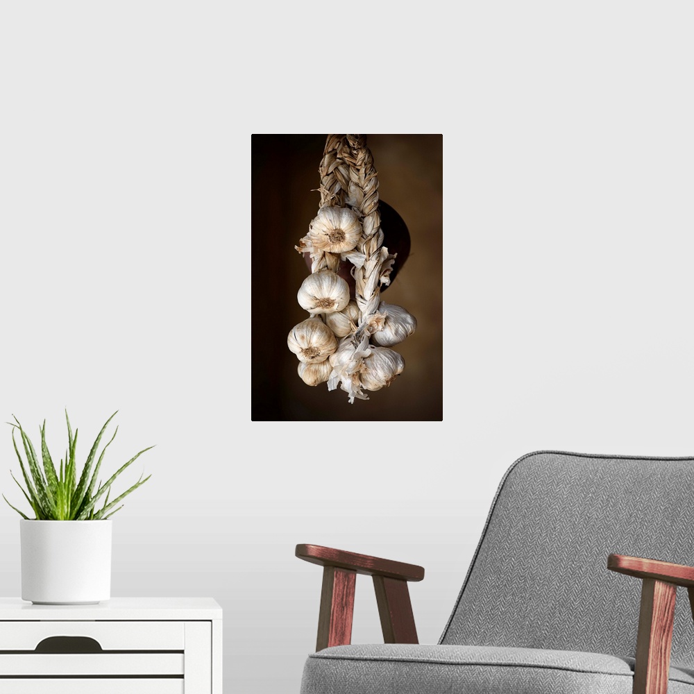 A modern room featuring A photograph of hanging garlic cloves.
