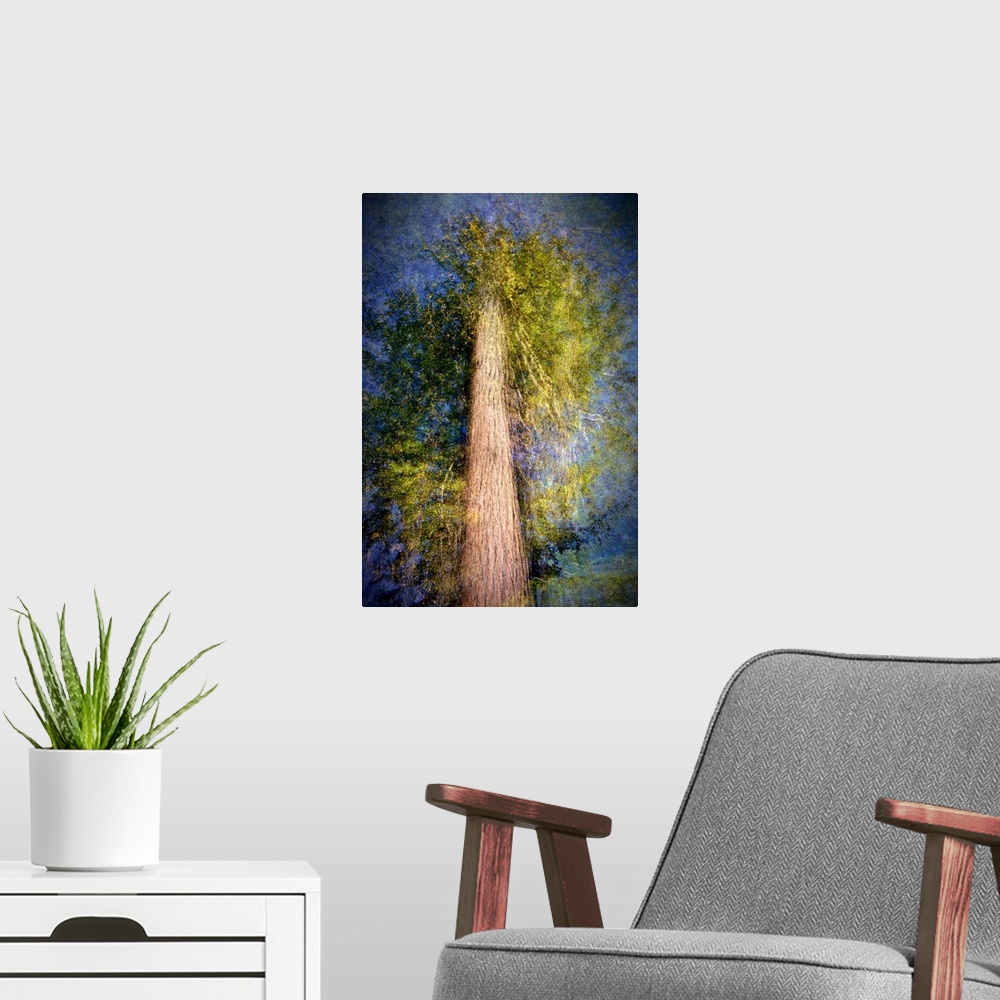 A modern room featuring Artistic photograph looking up at a tall tree taken in multiple exposures.