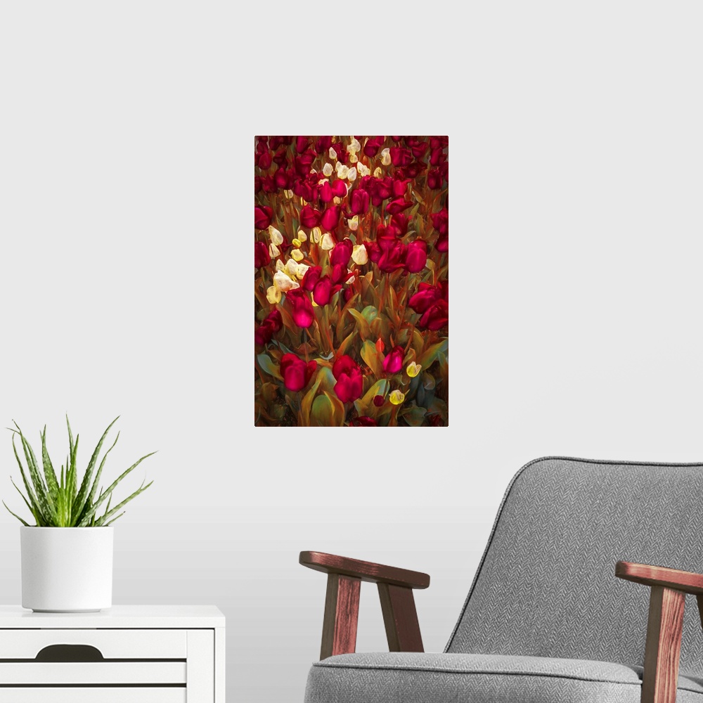 A modern room featuring Fine art photo of a bouquet of maroon and white tulips.