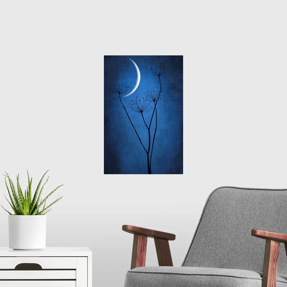 A modern room featuring Crescent moon with grass in the foreground. Dominant blue