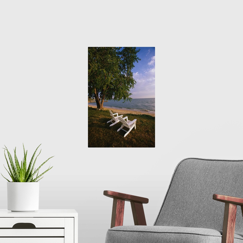 A modern room featuring Tall print on canvas of two chairs sitting on grass facing the water with a tree next to them.