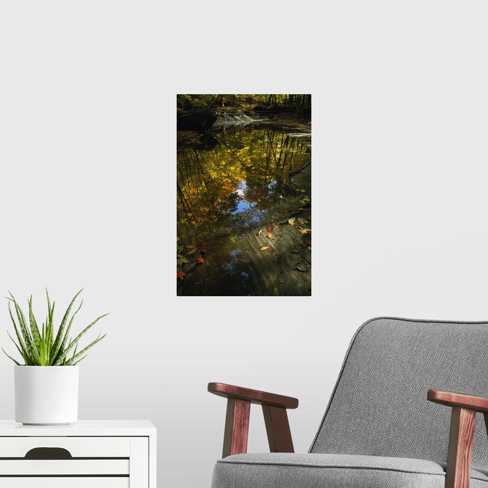 A modern room featuring Autumn color trees reflected in stream, Ohio