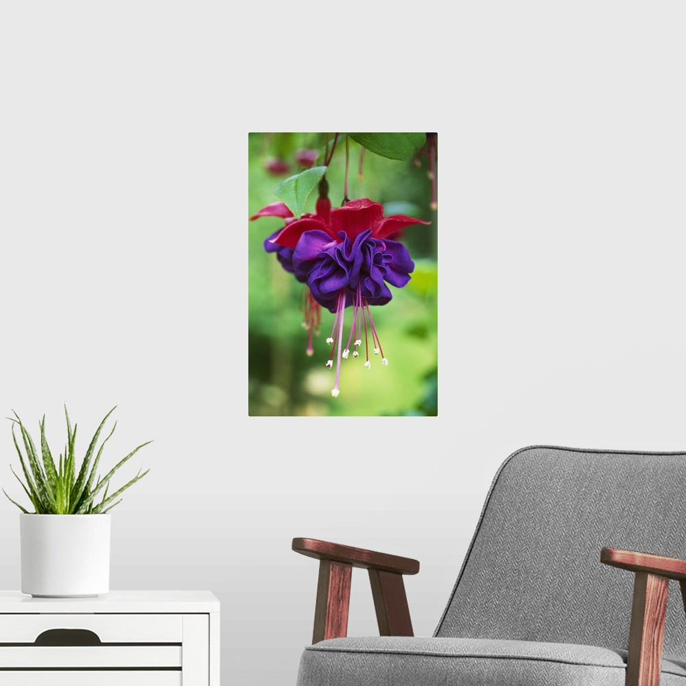 A modern room featuring Vertical image of a brightly colored flower on canvas.