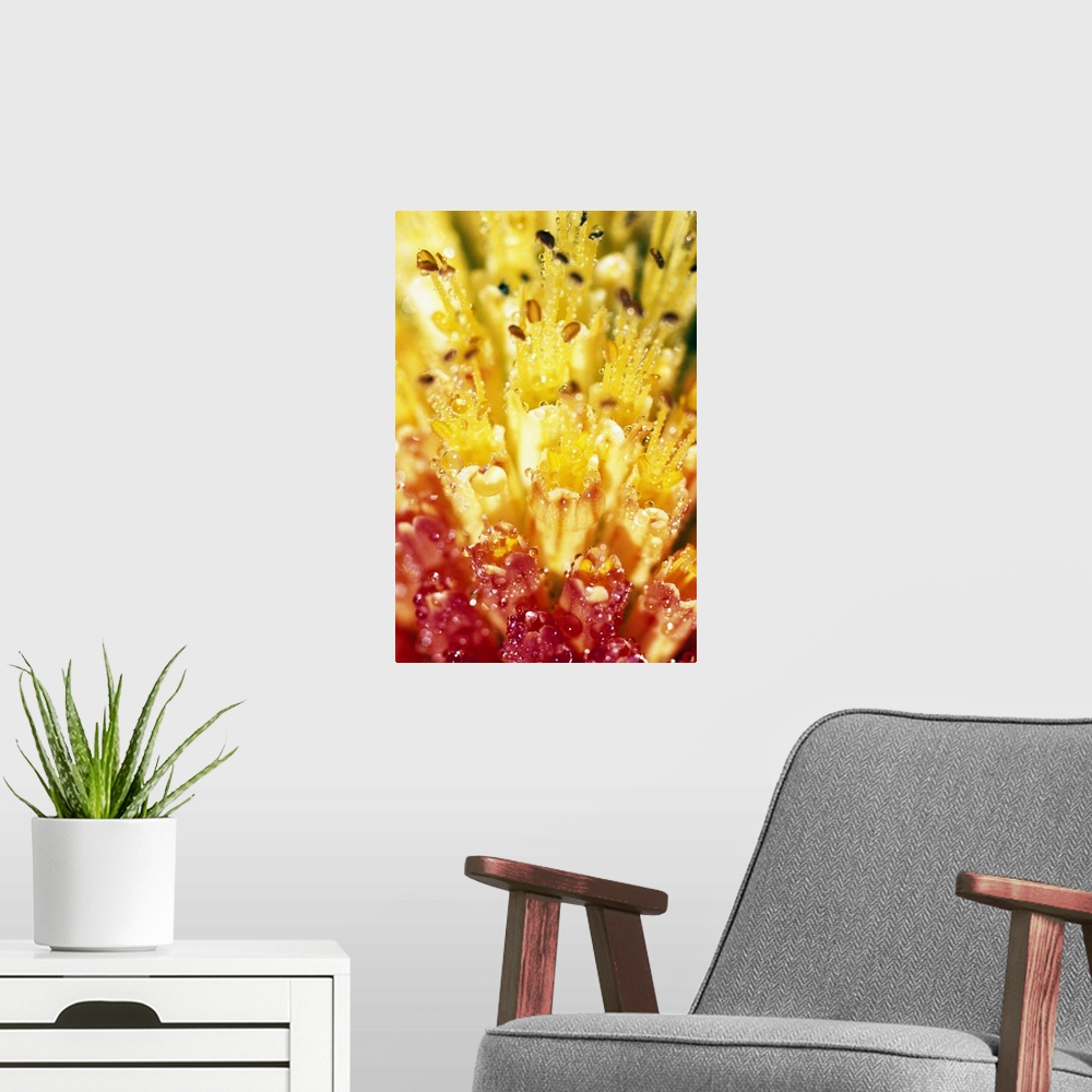 A modern room featuring Vertical panoramic up-close photograph of wet flower's stamen.
