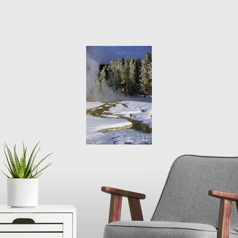 A modern room featuring Hot springs in snow, frosted pine tree forest, Yellowstone National Park, Wyoming