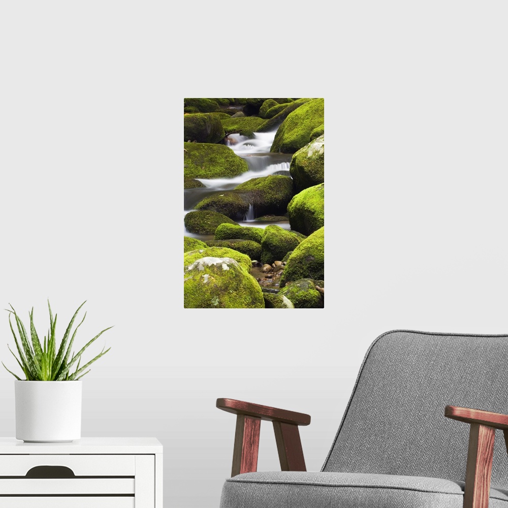 A modern room featuring Giant vertical photograph of the Little Pigeon River running downhill, through large rocks covere...