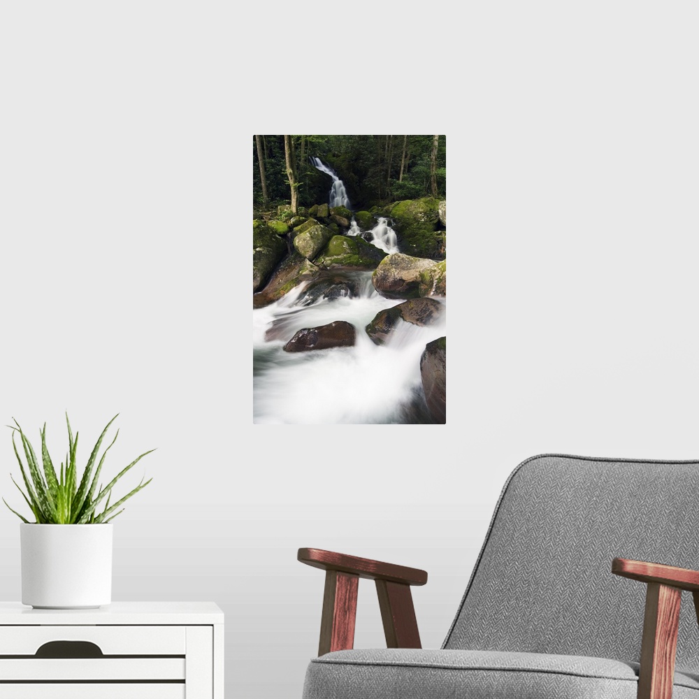 A modern room featuring A stream creates waterfalls and rapids through a river bed of moss covered boulders.