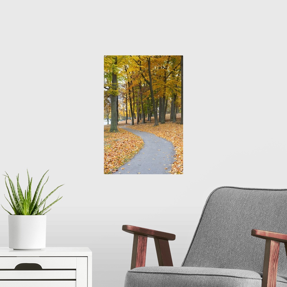 A modern room featuring A large vertical piece of a path winding through trees during the autumn with leaves covering the...