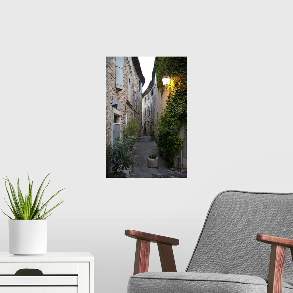 A modern room featuring Potted plants on the street, Luberon, Vaucluse, France