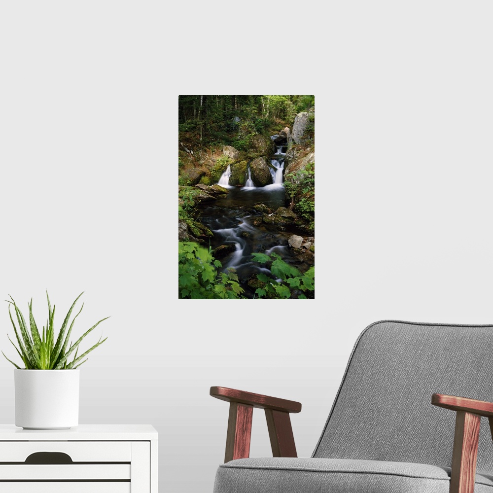 A modern room featuring Big, portrait photograph of Reany Falls surrounded by rocky terrain and lush, green forest in Mar...