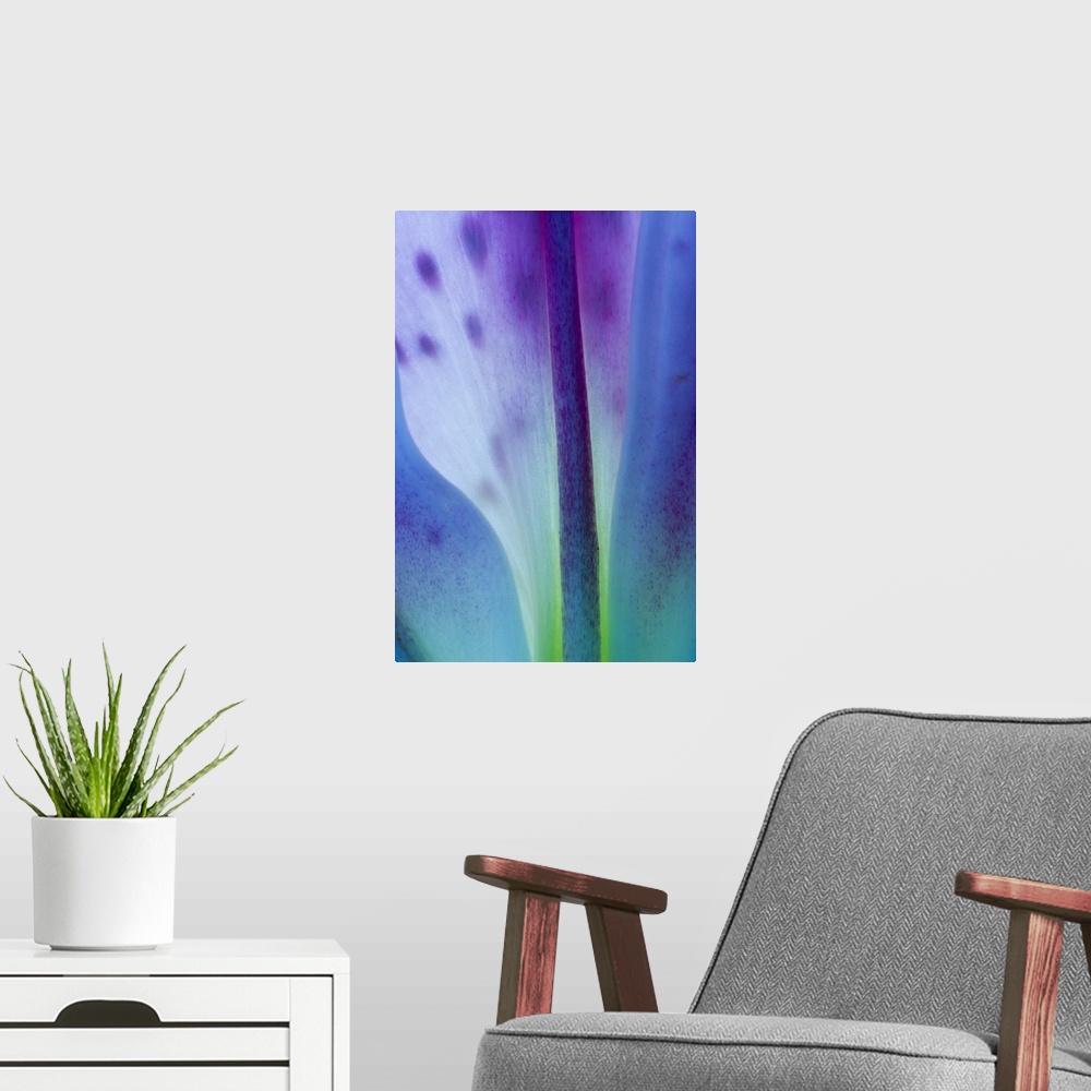 A modern room featuring Stargazer lily blossom, detail.