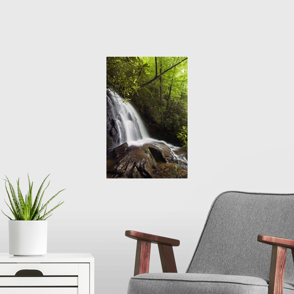 A modern room featuring This vertical nature photograph is a waterfall tumbling over large rocks in a forest in the Appal...