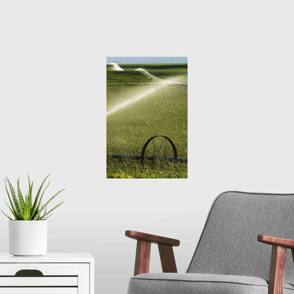 A modern room featuring Water spraying from irrigation sprinklers on green farmland hills, selective focus close up, Montana