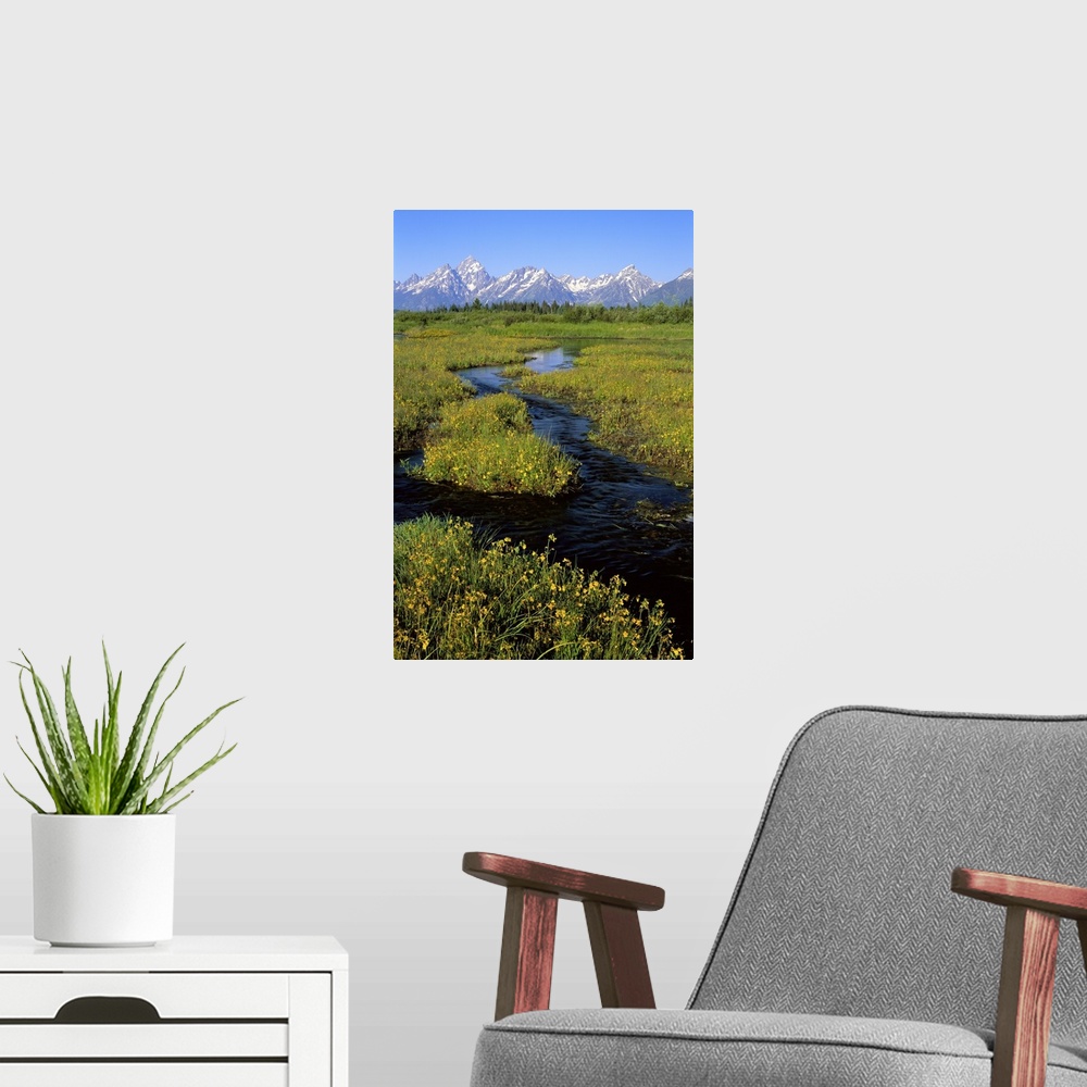 A modern room featuring Wyoming, Grand Teton National Park, Water flowing through the landscape