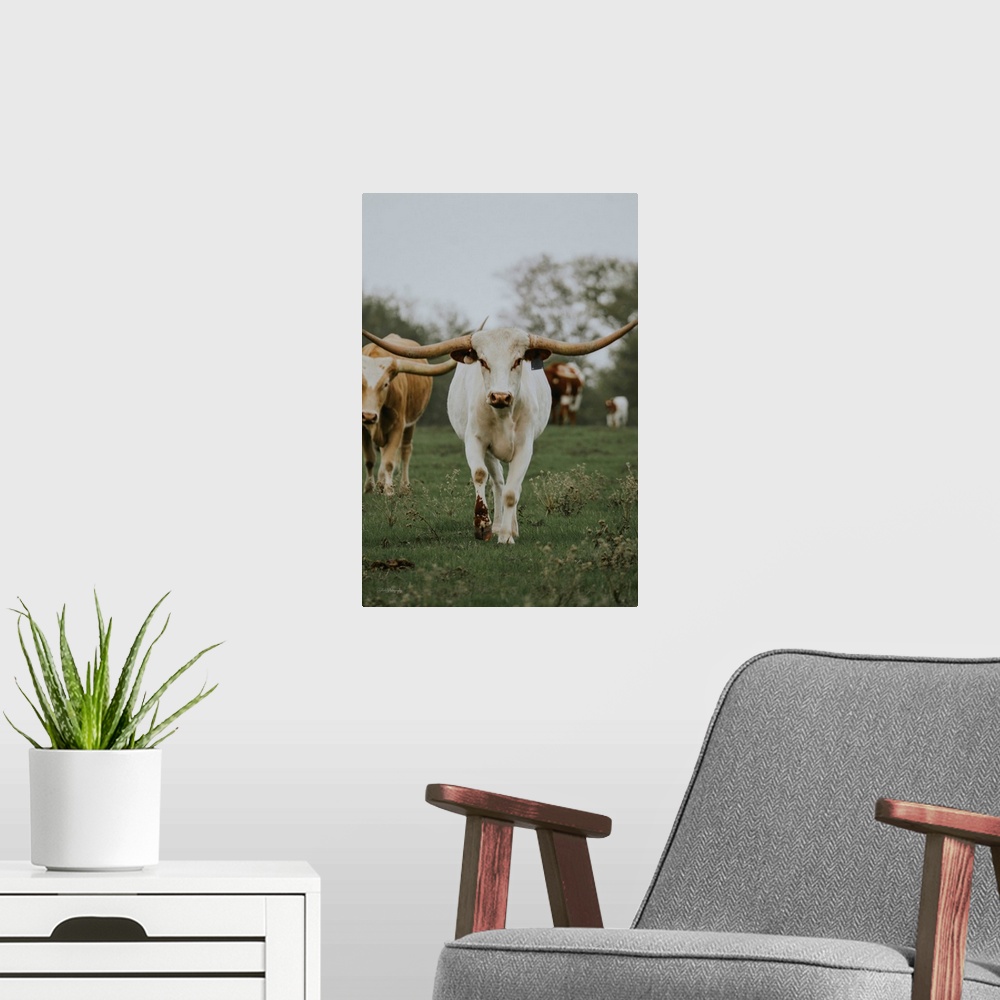 A modern room featuring Longhorn In Amarillo I