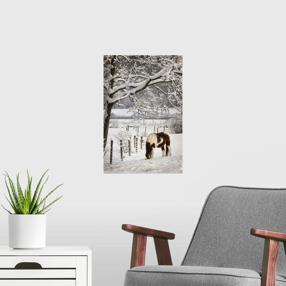 A modern room featuring Horse grazing beside a fence in a snow covered field.