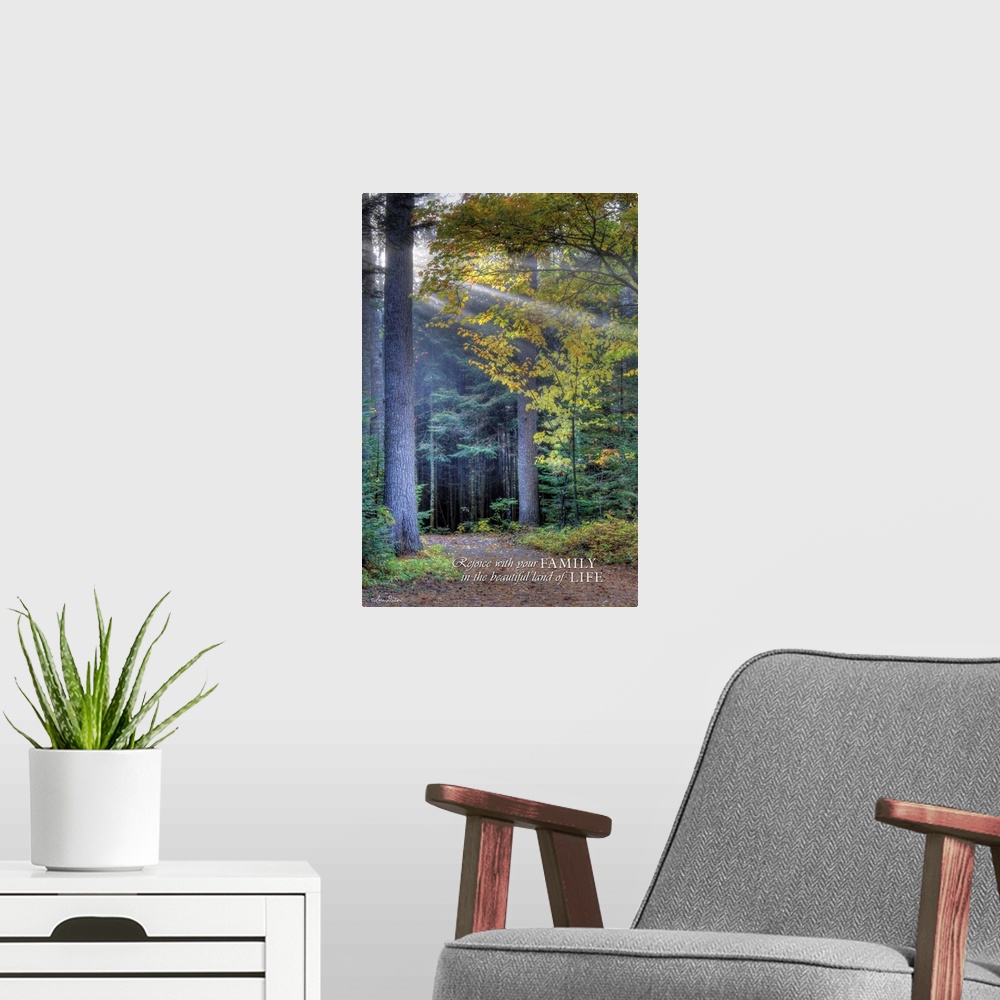 A modern room featuring White text against a photograph of a forest path leading deeper into the woods.