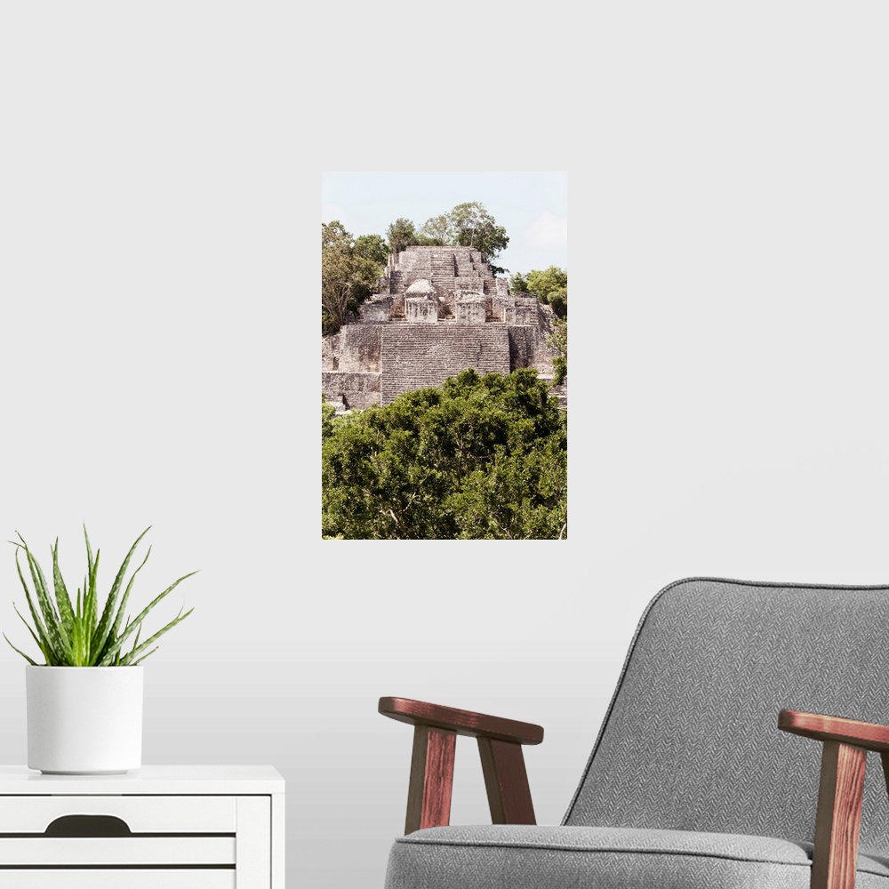 A modern room featuring Photograph of architecture from an ancient Maya City within the jungle of Calakmul, Mexico. From ...
