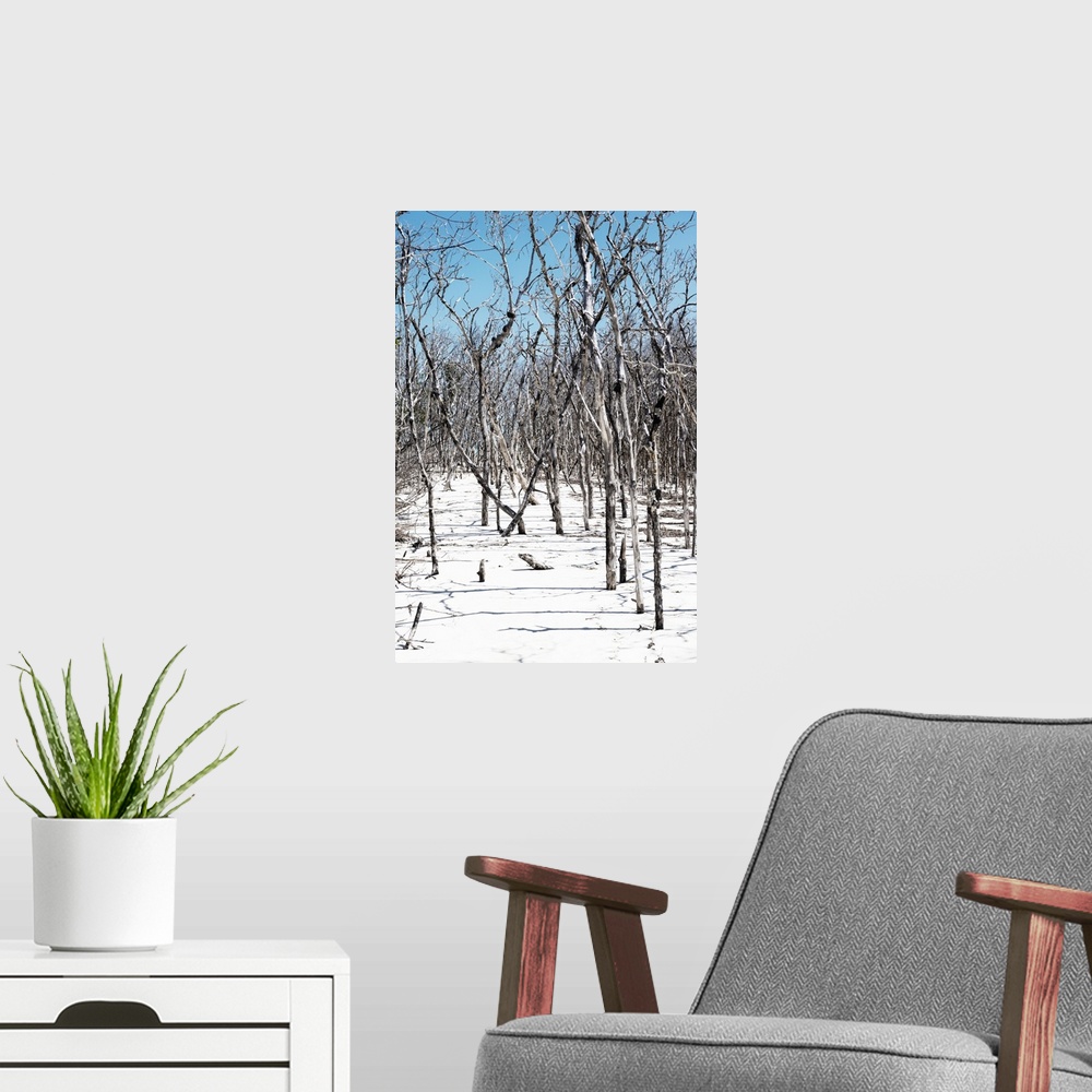 A modern room featuring Textured photograph with bare sticks in white sands on a beach in Cuba.