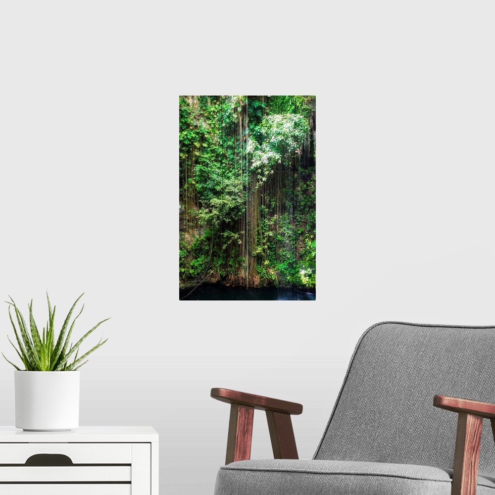 A modern room featuring Photograph of the hanging roots at Ik-Kil Cenote, Ik-Kil archaeological park, Mexico. From the Vi...