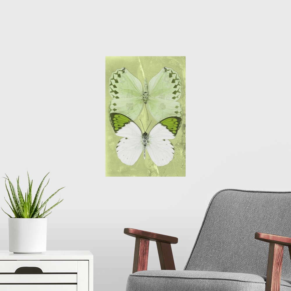 A modern room featuring Two butterflies overlaid on a lime green sparkly background.