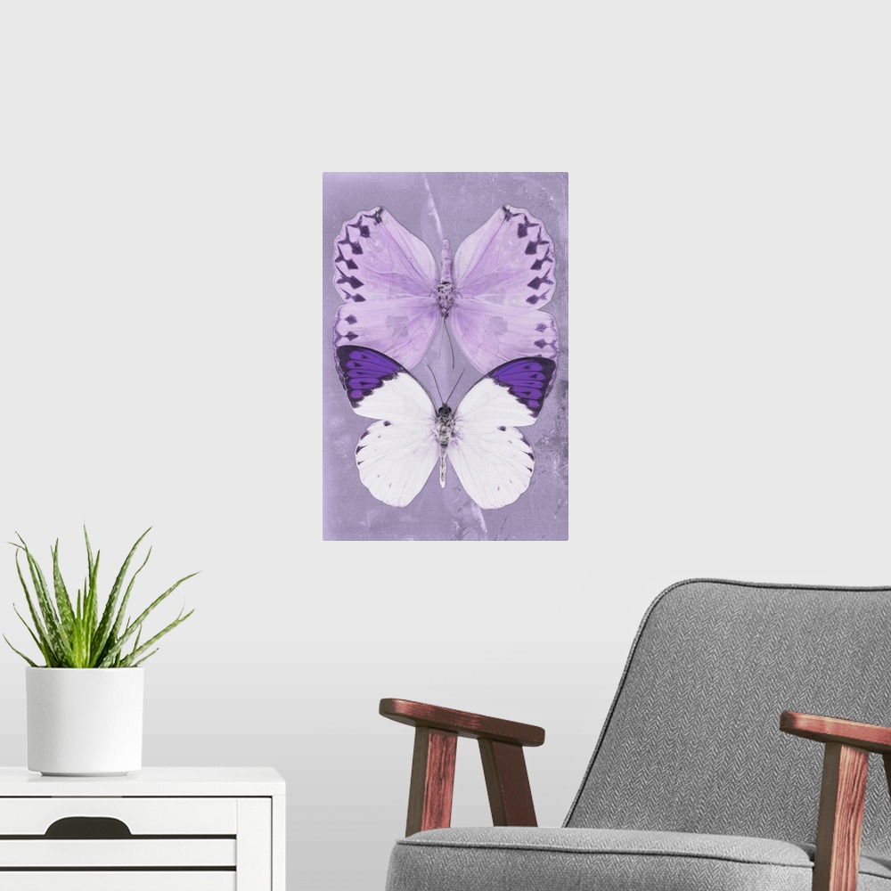A modern room featuring Two butterflies overlaid on a purple sparkly background.
