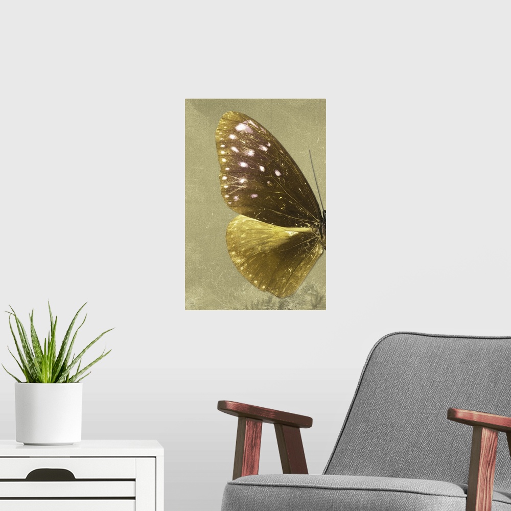 A modern room featuring Half of a butterfly on a gold sparkly background.