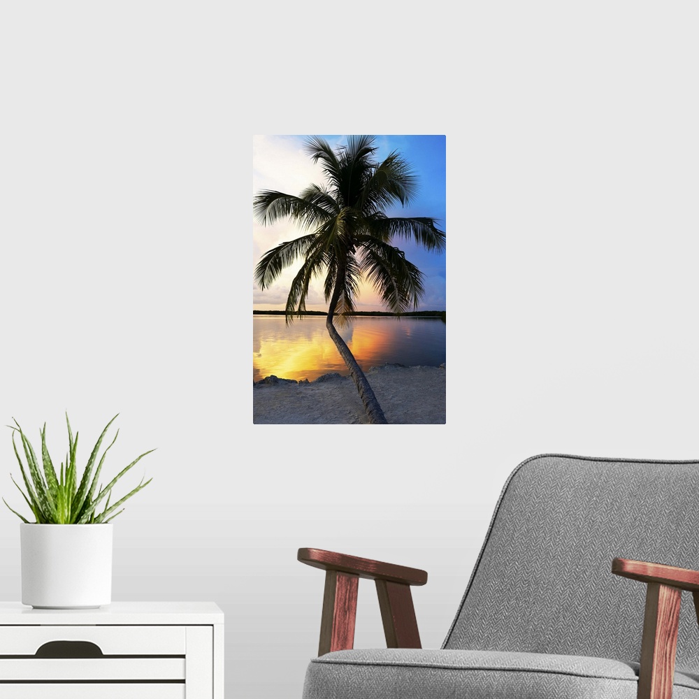 A modern room featuring A silhouetted palm tree stretching out over the ocean at dusk.