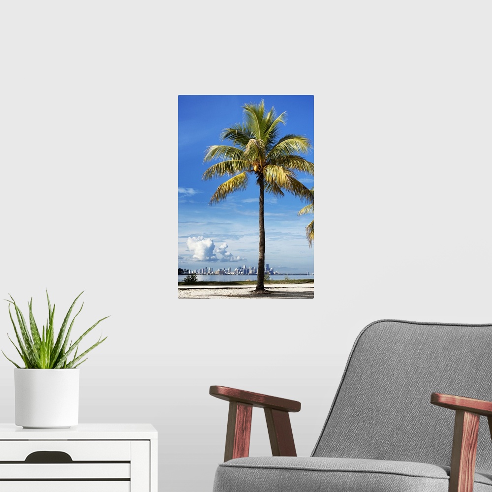 A modern room featuring A palm tree on the coast with the city of Miami in the distance.